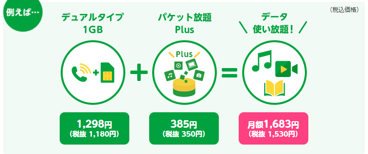 1GBコース+パケット放題 plus